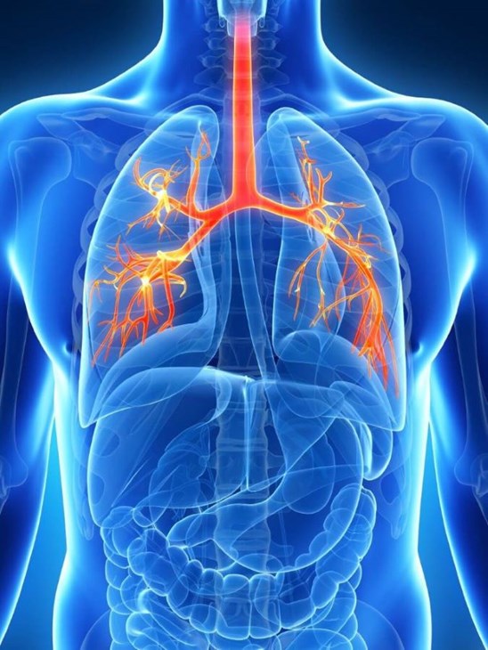 Tusea seacă cauze și factori de risc - Inflamație