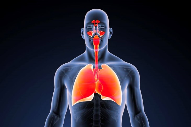 Ce este tractul respirator